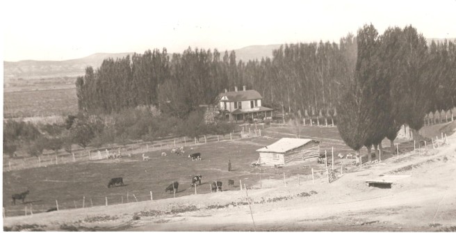 Old Bruneau Homestead maybe late 1890s 001